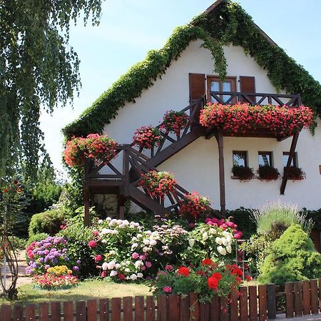 Apartment Route Du Vin Centre Alsace Orschwiller Phòng bức ảnh