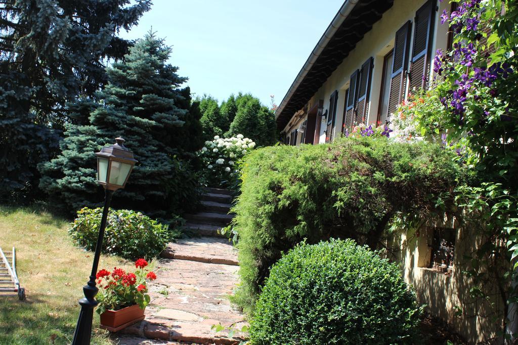 Apartment Route Du Vin Centre Alsace Orschwiller Phòng bức ảnh