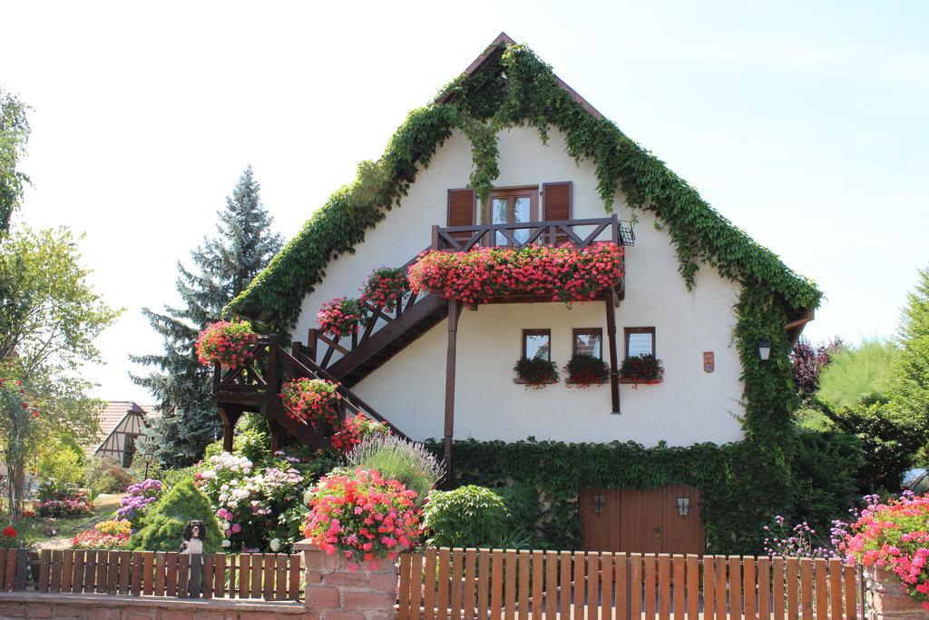 Apartment Route Du Vin Centre Alsace Orschwiller Phòng bức ảnh